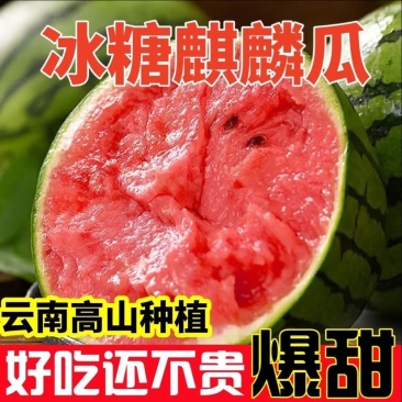 云南麒麟西瓜新鲜采摘现摘现发承接电商一件代发包邮包售后