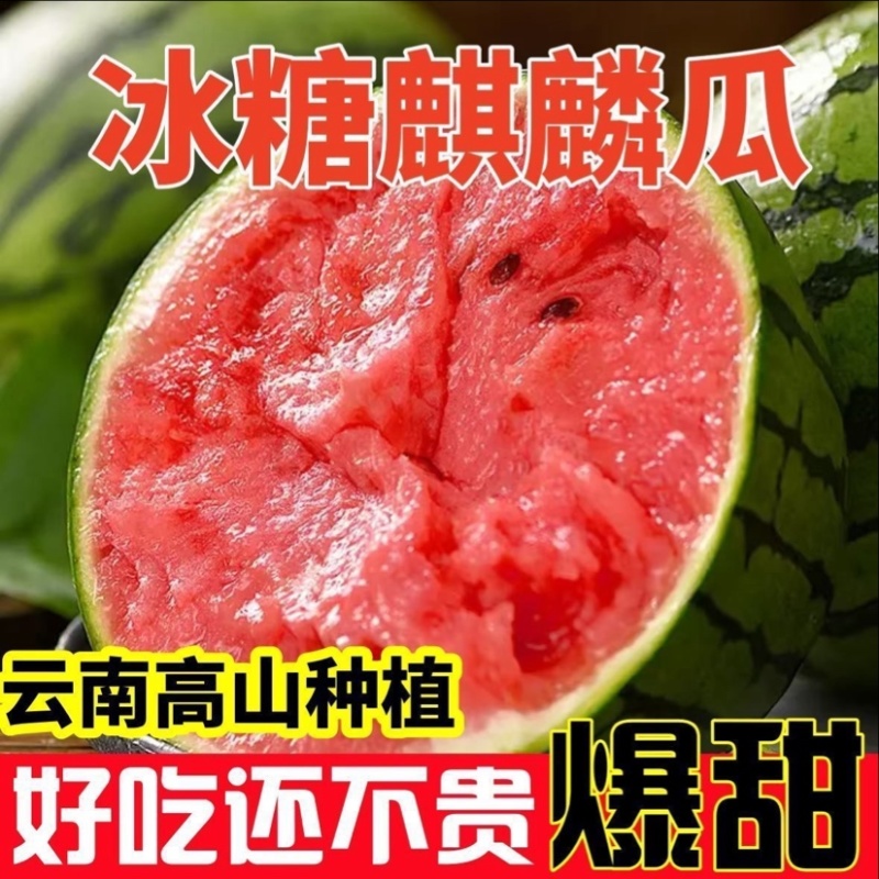 云南麒麟西瓜新鲜采摘现摘现发承接电商一件代发包邮包售后