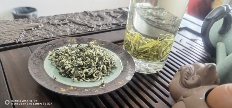 都匀毛尖茶