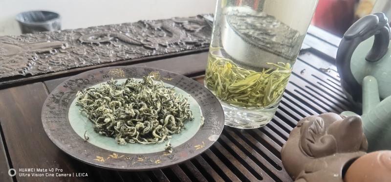 都匀毛尖茶