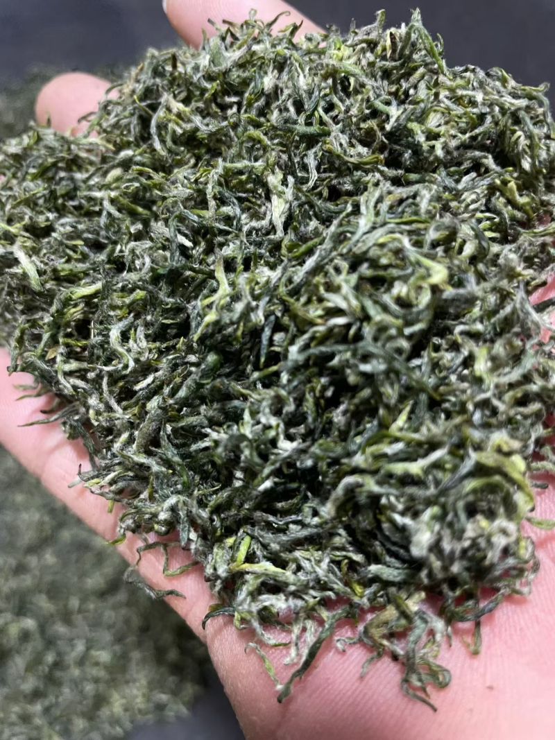 都匀毛尖茶