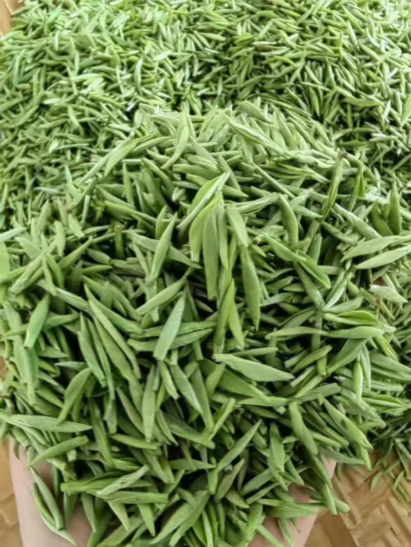都匀毛尖茶