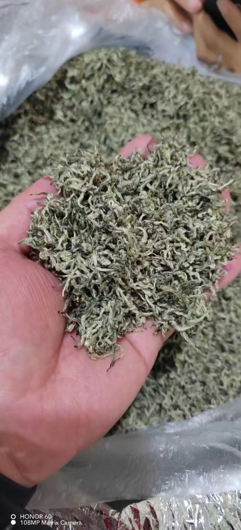手工毛尖茶