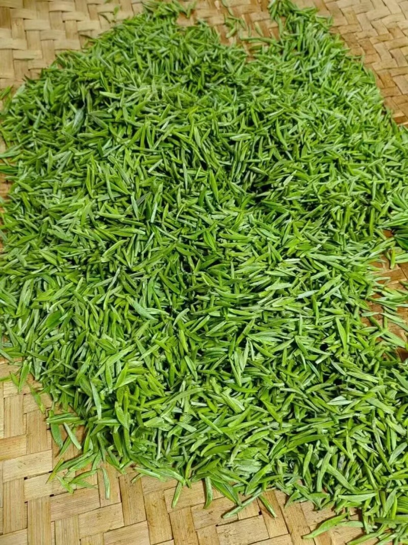 手工毛尖茶