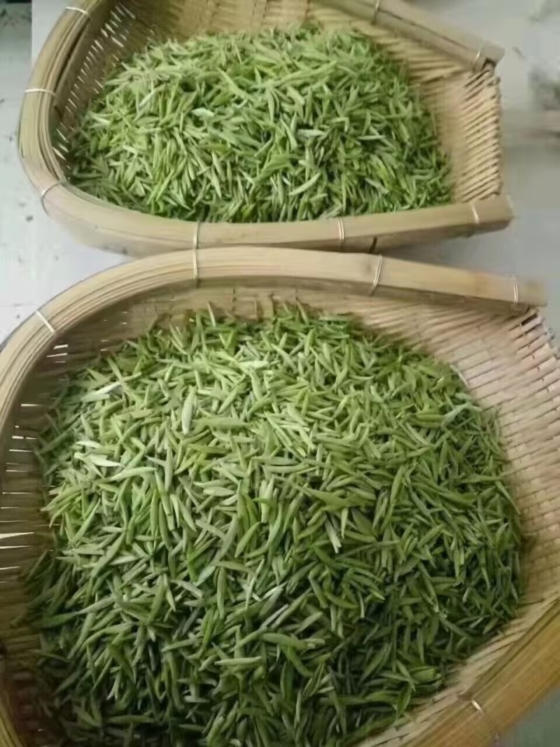 手工毛尖茶
