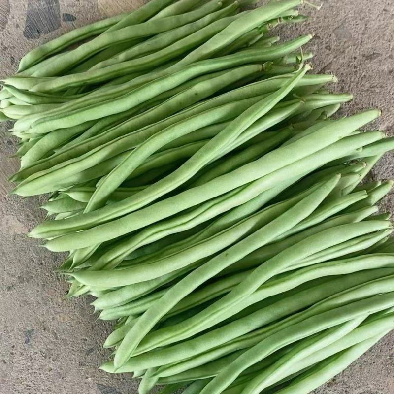 【推荐】芜湖四季豆大量上市，市场电商平台客户可以联系我