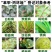 苯甲丙环唑果树蔬菜炭疽病白粉病锈病水稻纹枯病农药杀菌剂