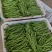 【推荐】芜湖四季豆大量上市,市场电商平台客户可以联系我
