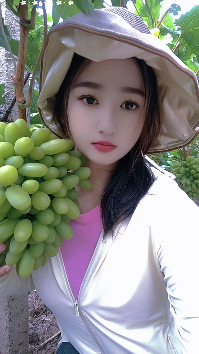 云南元谋青提葡萄