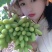 云南元谋青提葡萄