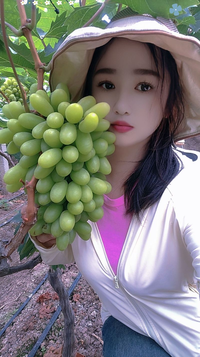云南元谋青提葡萄