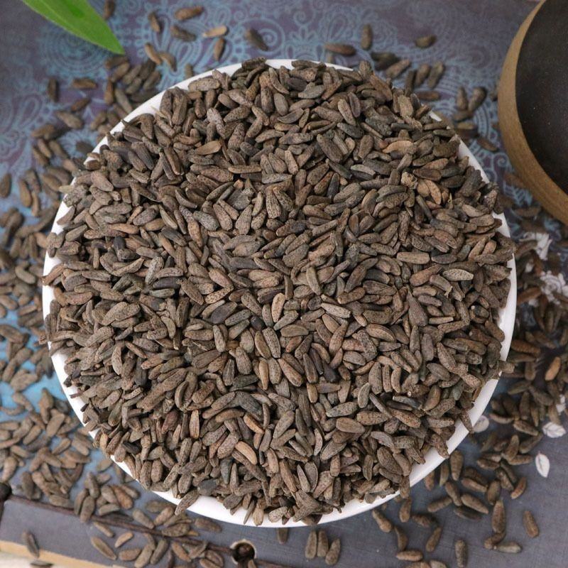 牛蒡子中药材牛蒡子茶牛子正品牛蒡籽保质保量批发零售