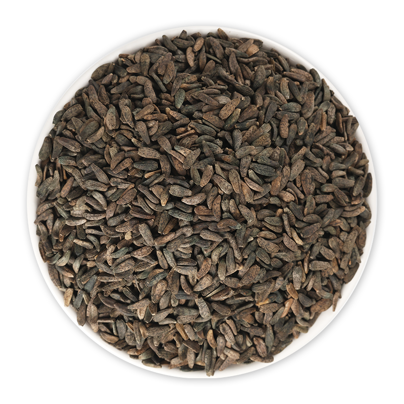 牛蒡子中药材牛蒡子茶牛子正品牛蒡籽保质保量批发零售