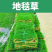 真草皮草坪绿地真草别墅室外低矮台湾草马尼拉草果岭草免打理