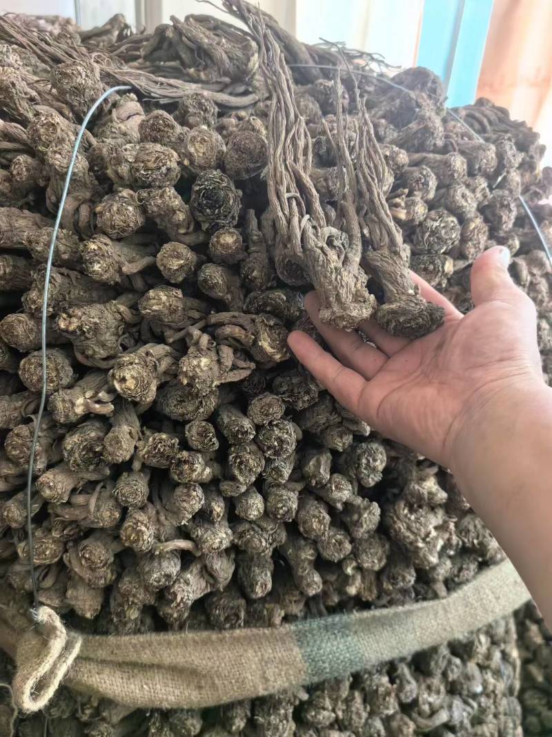 精品无硫新货全成品特等归电商超商的**货