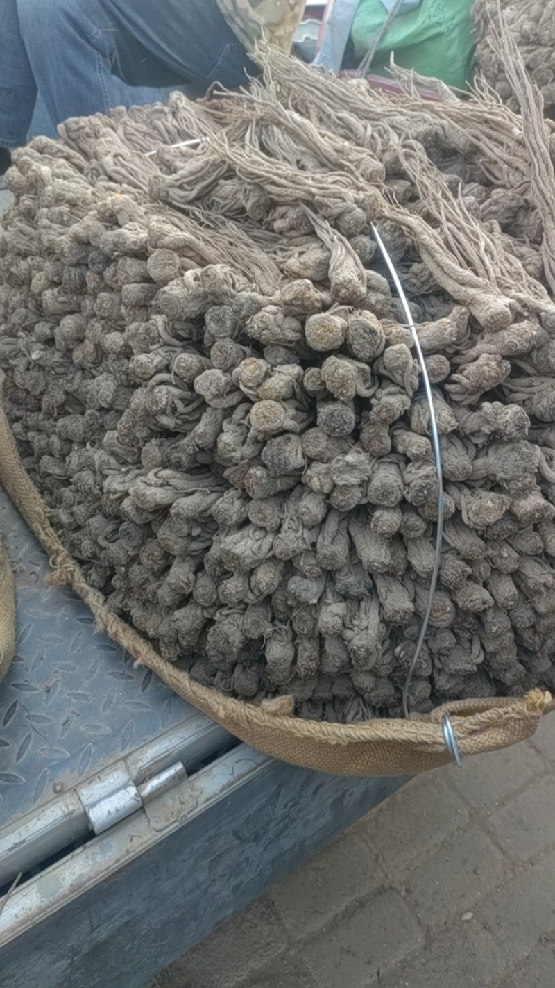 精品无硫新货全成品特等归电商超商的**货