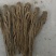 精品无硫新货全成品特等归电商超商的**货
