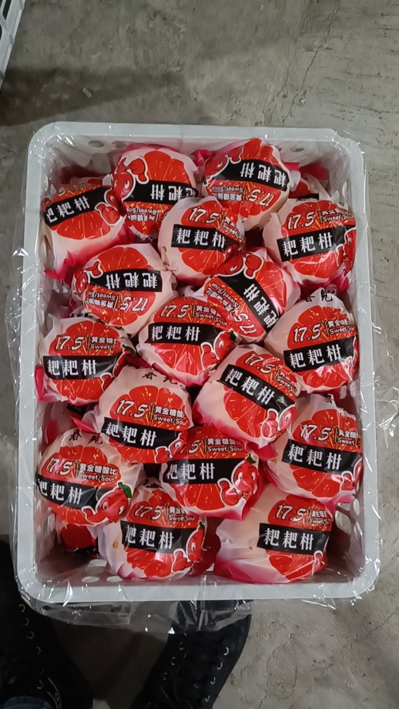 四川耙耙柑，