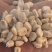 白糯玉米干粒