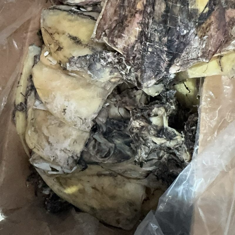 墨鱼干