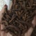 《蒲公英根》蒲公英根茶茶用药用新货无硫干净无杂质