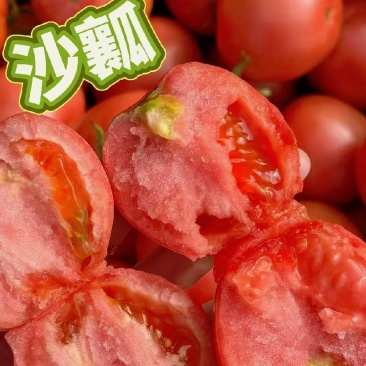 正宗普罗旺斯西红柿
