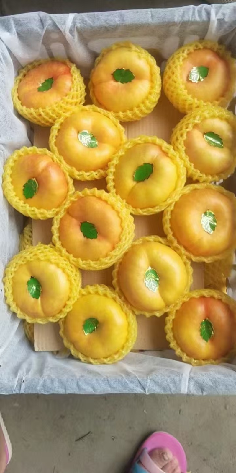湖北黄油蟠桃，毛桃油桃，各种规格品种都有，大量供应
