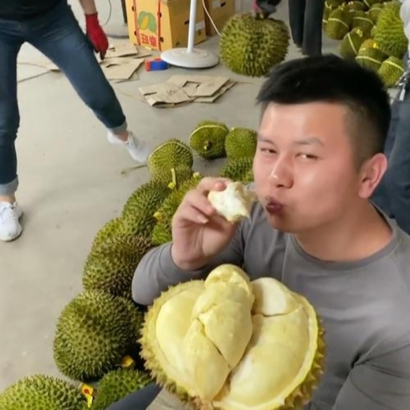 金枕榴莲一手批发价格
