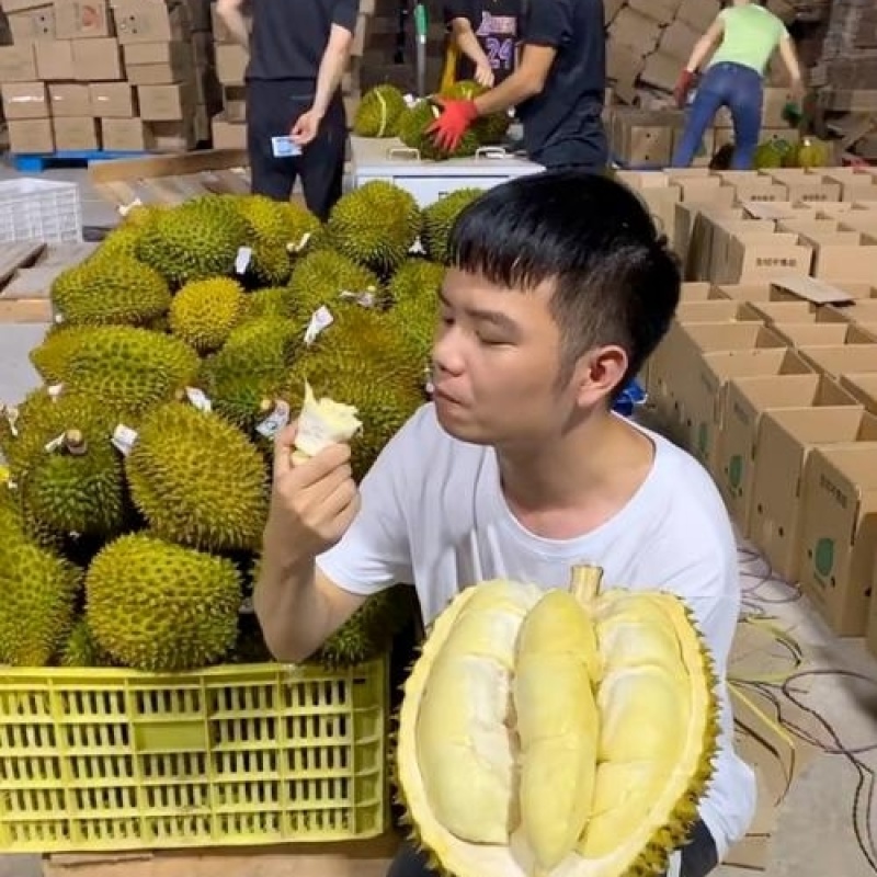 金枕榴莲一手批发价格