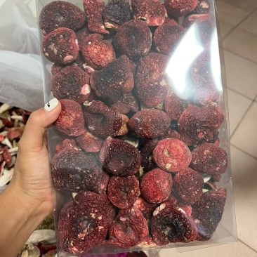 干红菌
