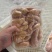新鲜生鱼，鱼籽，定装