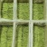 精品贡菜段（5公分10公分）产地直供货源充足全国接单