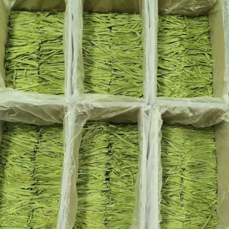 精品贡菜段（5公分10公分）产地直供货源充足全国接单