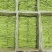 精品贡菜段（5公分10公分）产地直供货源充足全国接单