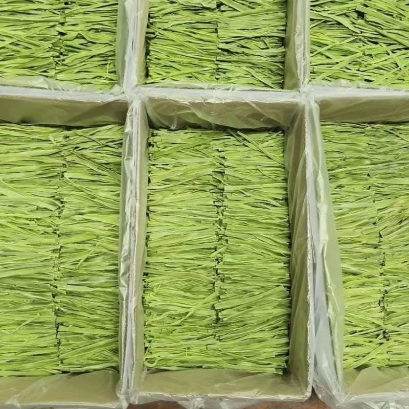 精品贡菜段（5公分10公分）产地直供货源充足全国接单
