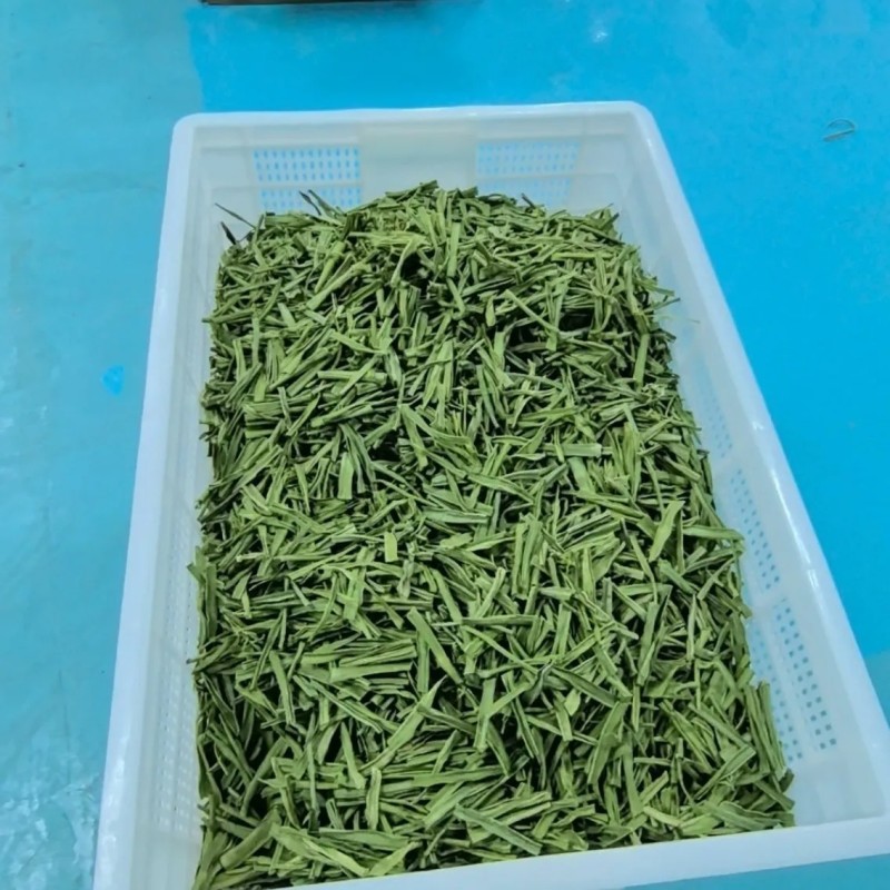 精品贡菜段（5公分10公分）产地直供货源充足全国接单