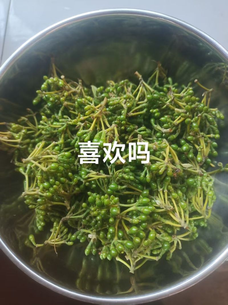 大量出售木姜子，，1251251251251251
