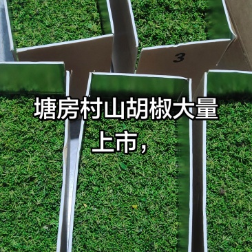 新鲜木姜子，当天采摘当天发货。货源充足，种植地直发