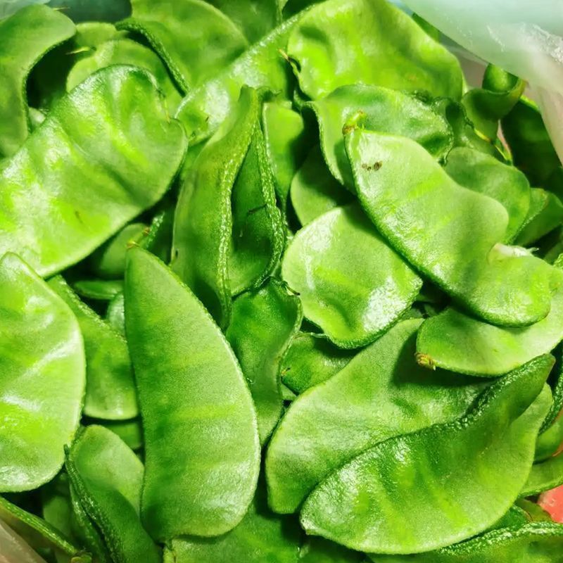 大肉猪耳朵扁豆绿眉豆种子高产抗病耐热耐寒春秋播蔬菜