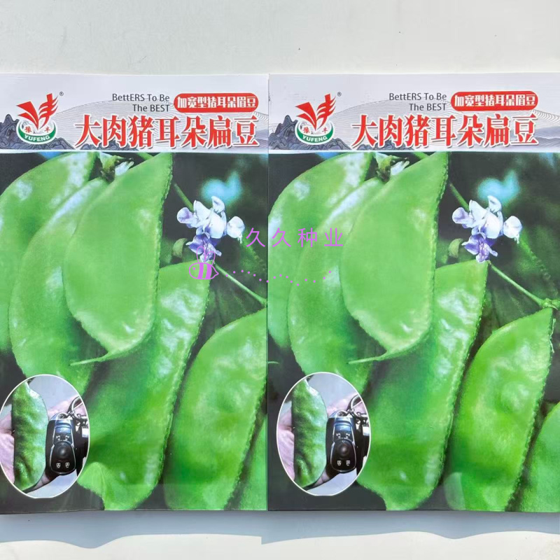 大肉猪耳朵扁豆绿眉豆种子高产抗病耐热耐寒春秋播蔬菜