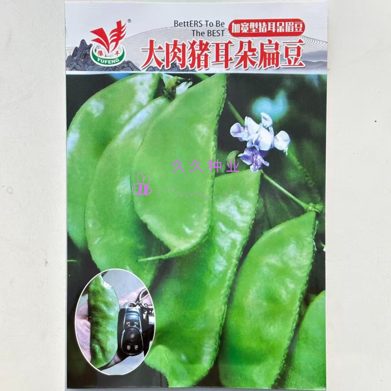 大肉猪耳朵扁豆绿眉豆种子高产抗病耐热耐寒春秋播蔬菜