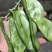大肉猪耳朵扁豆绿眉豆种子高产抗病耐热耐寒春秋播蔬菜