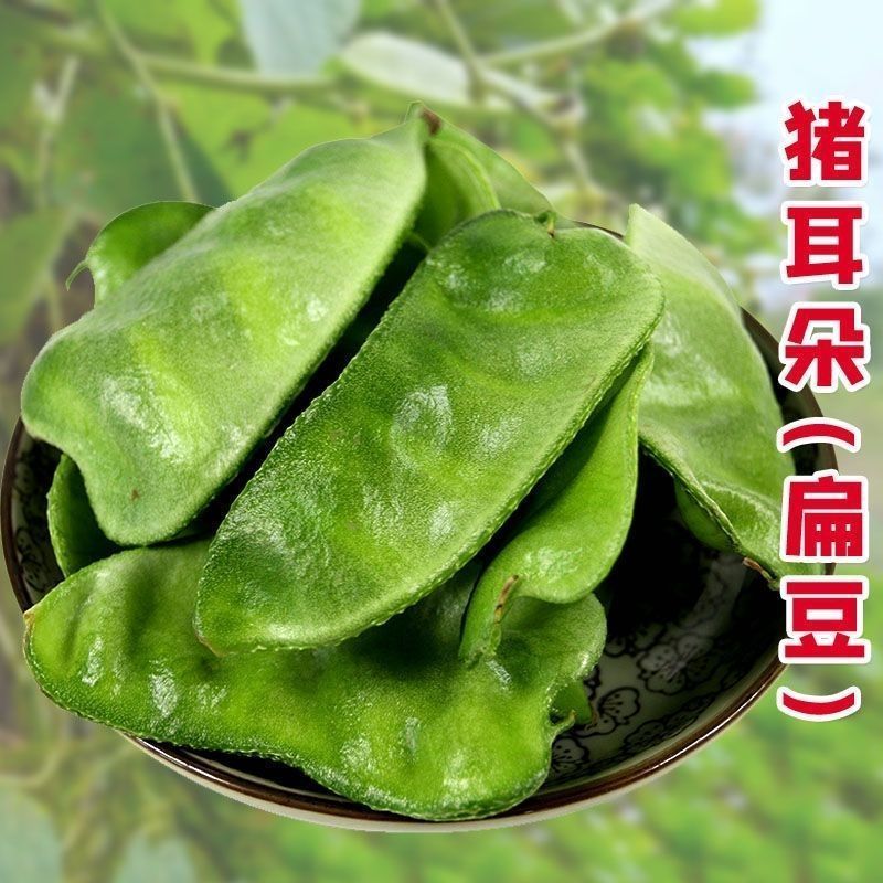 大肉猪耳朵扁豆绿眉豆种子高产抗病耐热耐寒春秋播蔬菜