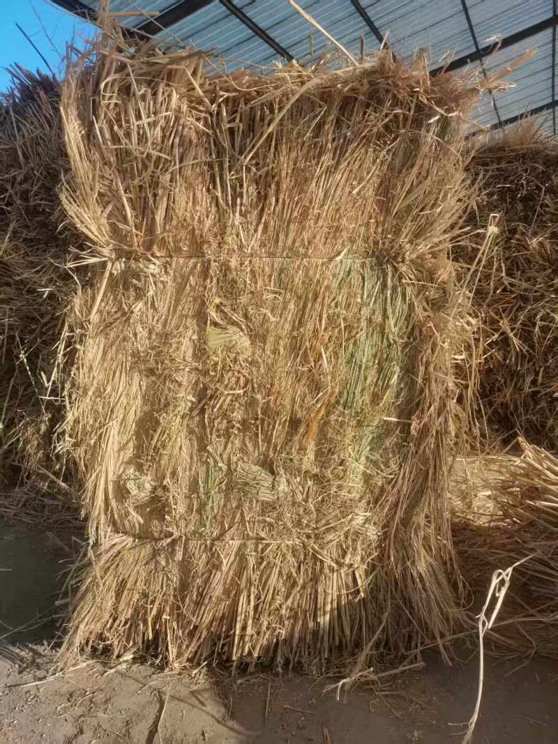 治沙稻草