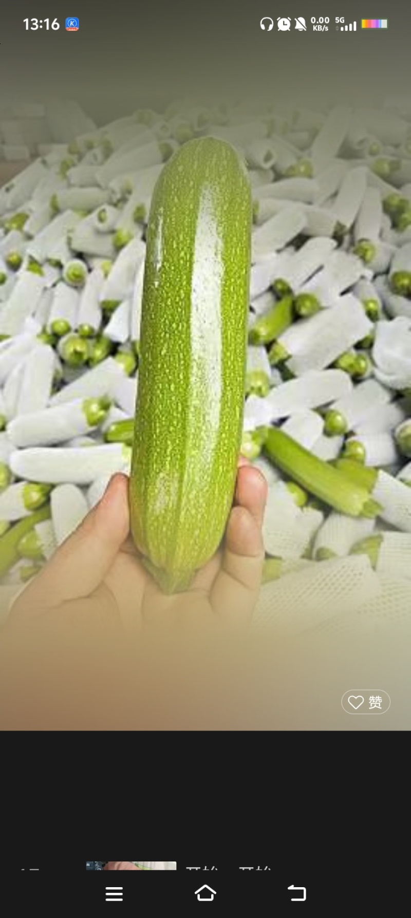 西葫芦