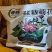 荷花种子水培植物莲花荷花水生养花卉绿植盆栽室内好养荷花种
