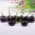 荷花种子水培植物莲花荷花水生养花卉绿植盆栽室内好养荷花种