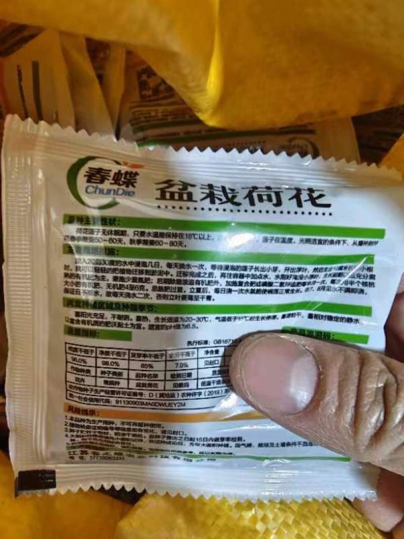 荷花种子水培植物莲花荷花水生养花卉绿植盆栽室内好养荷花种