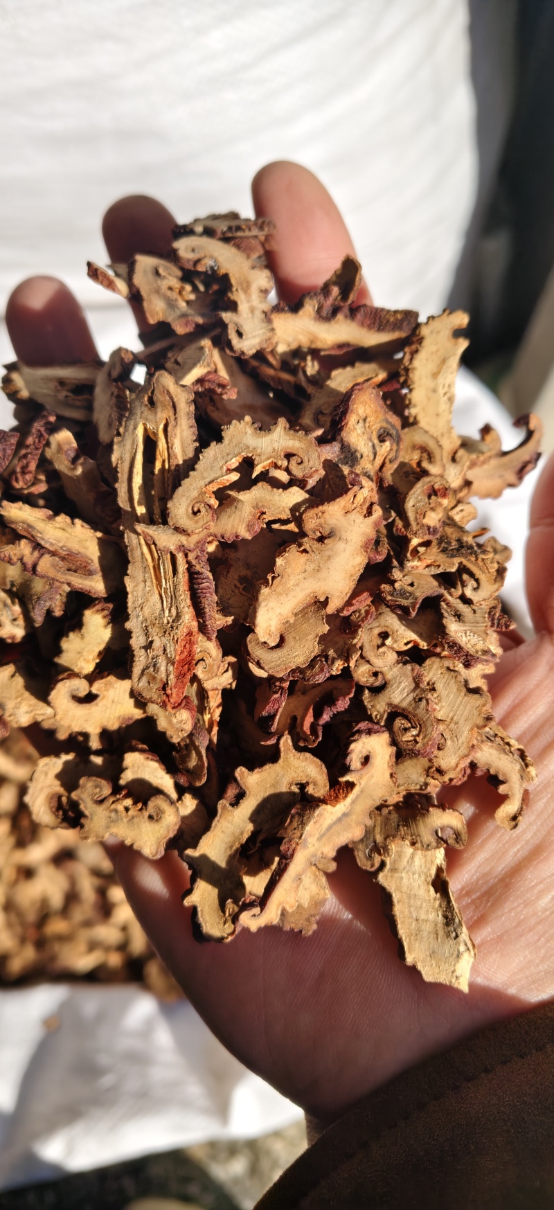 药用木瓜片木瓜干无硫熏***各种中药材