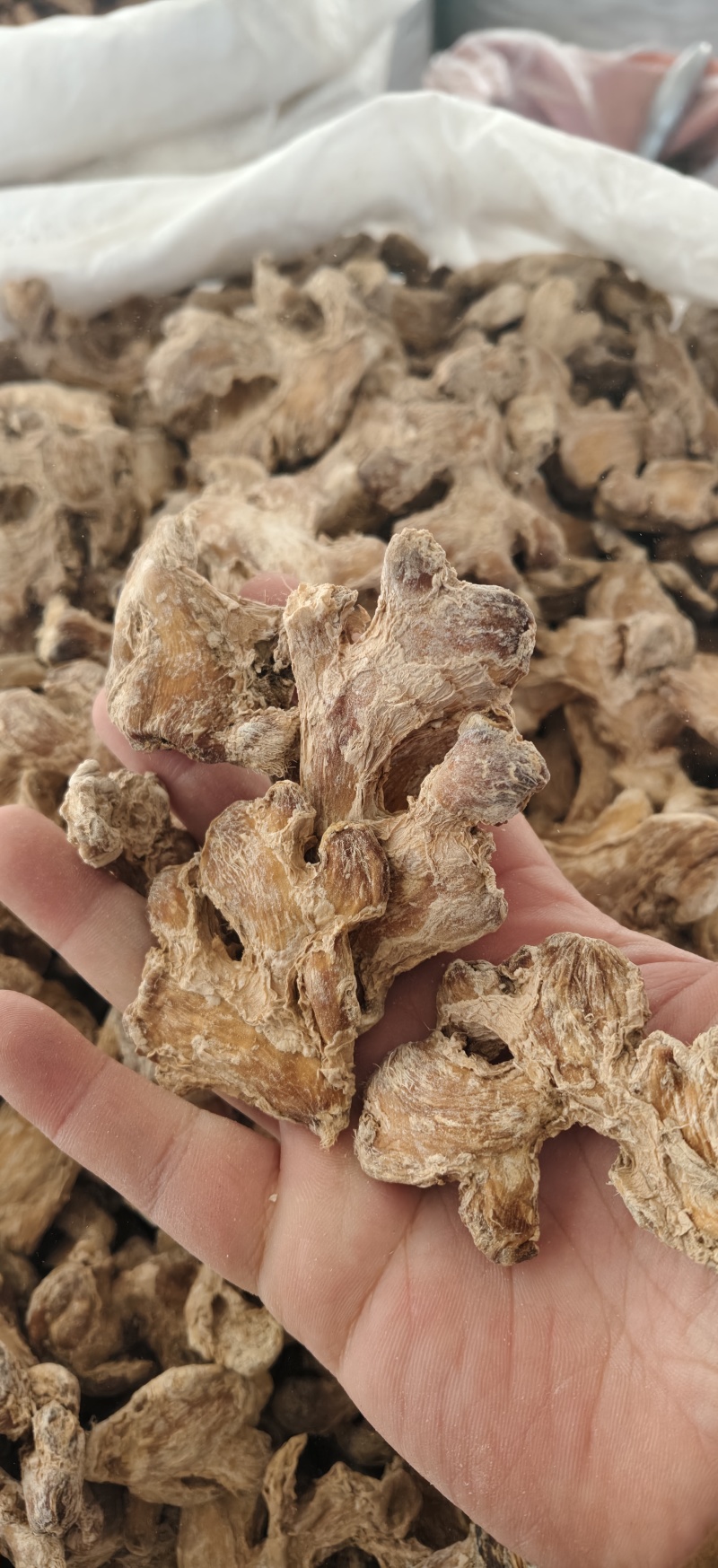 干姜干姜个炮姜无硫干姜片粉姜小黄姜一公斤起批